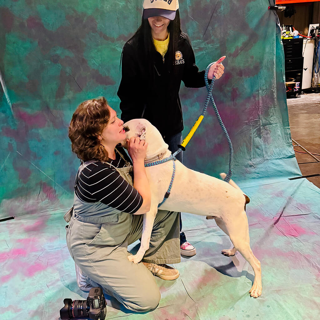 White dog getting love from the photographer at Big ugly brewery and photoshoot