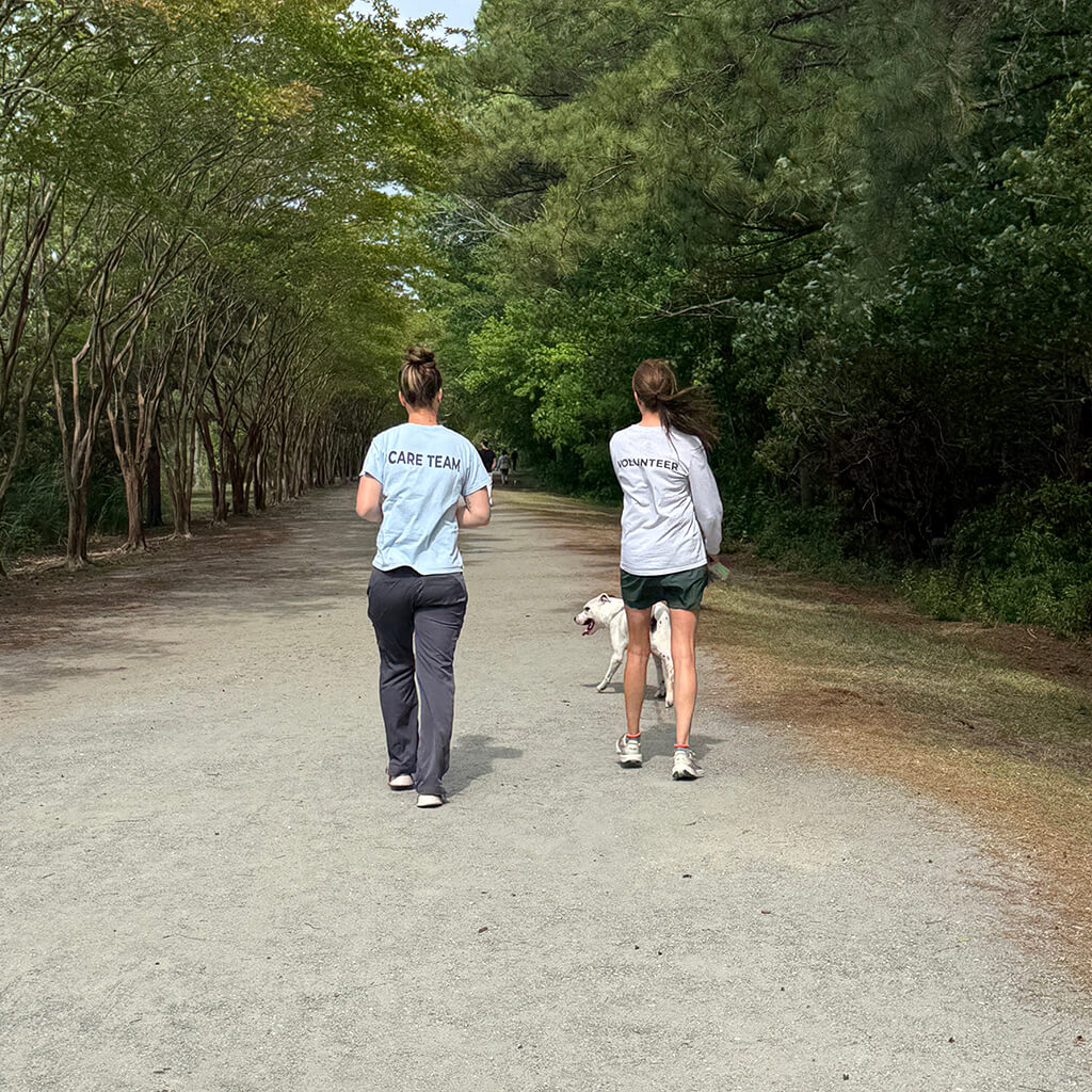 May 8th Road Trip with the Coast Guard - Two walkers walking down the path in the woods
