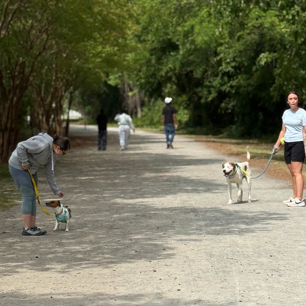 May 8th Road Trip with the Coast Guard - walking in the woods with the dogs