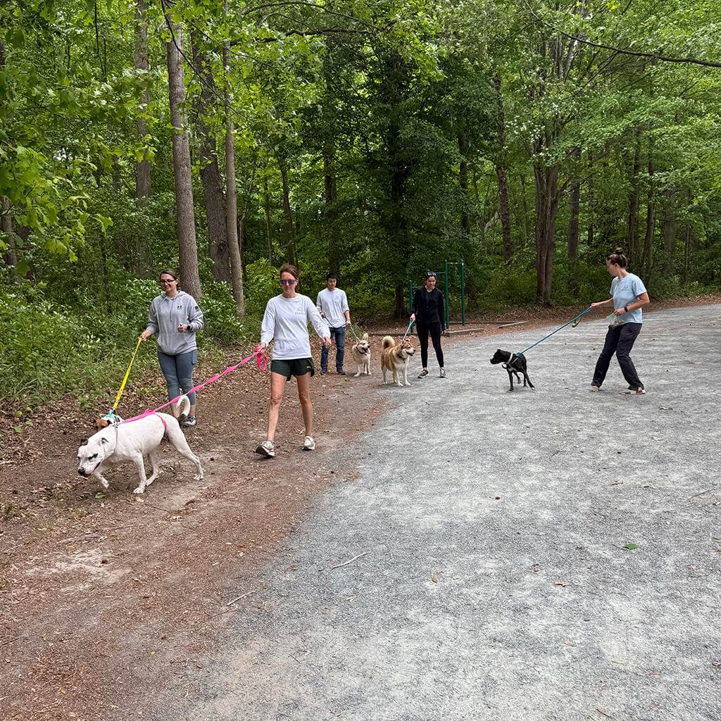 May 8th Road Trip with the Coast Guard - walking in the woods with the dogs
