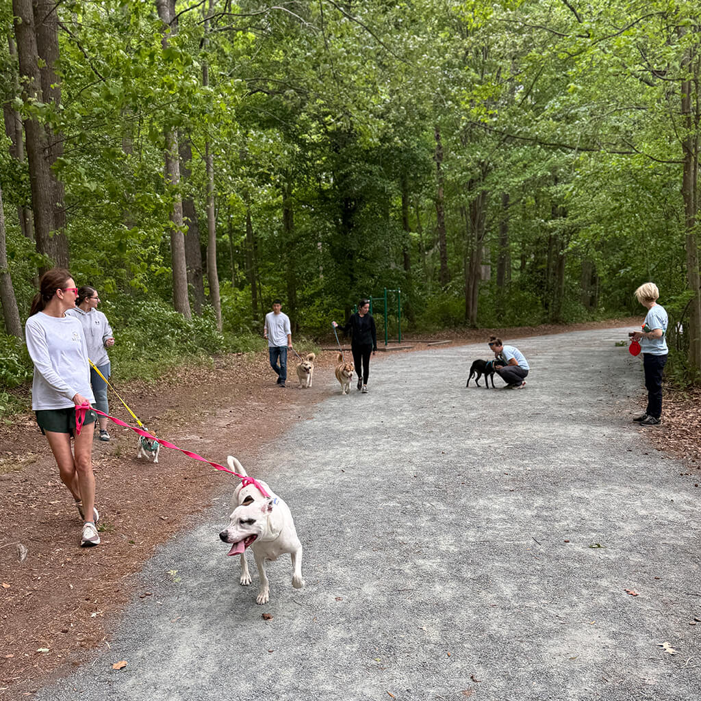 May 8th Road Trip with the Coast Guard - walking in the woods with the dogs
