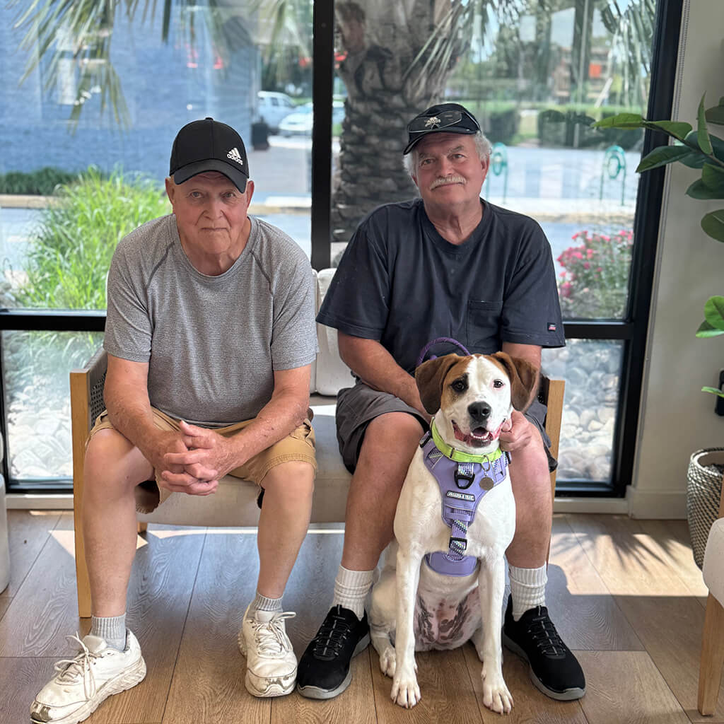 May 2026 adoption of Brisa