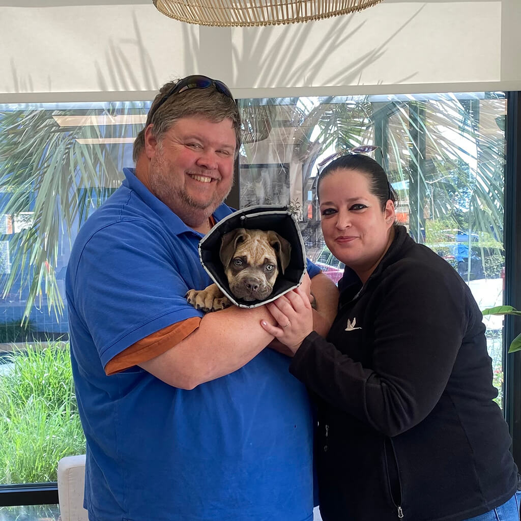 May 2026 adoption of Lilo
