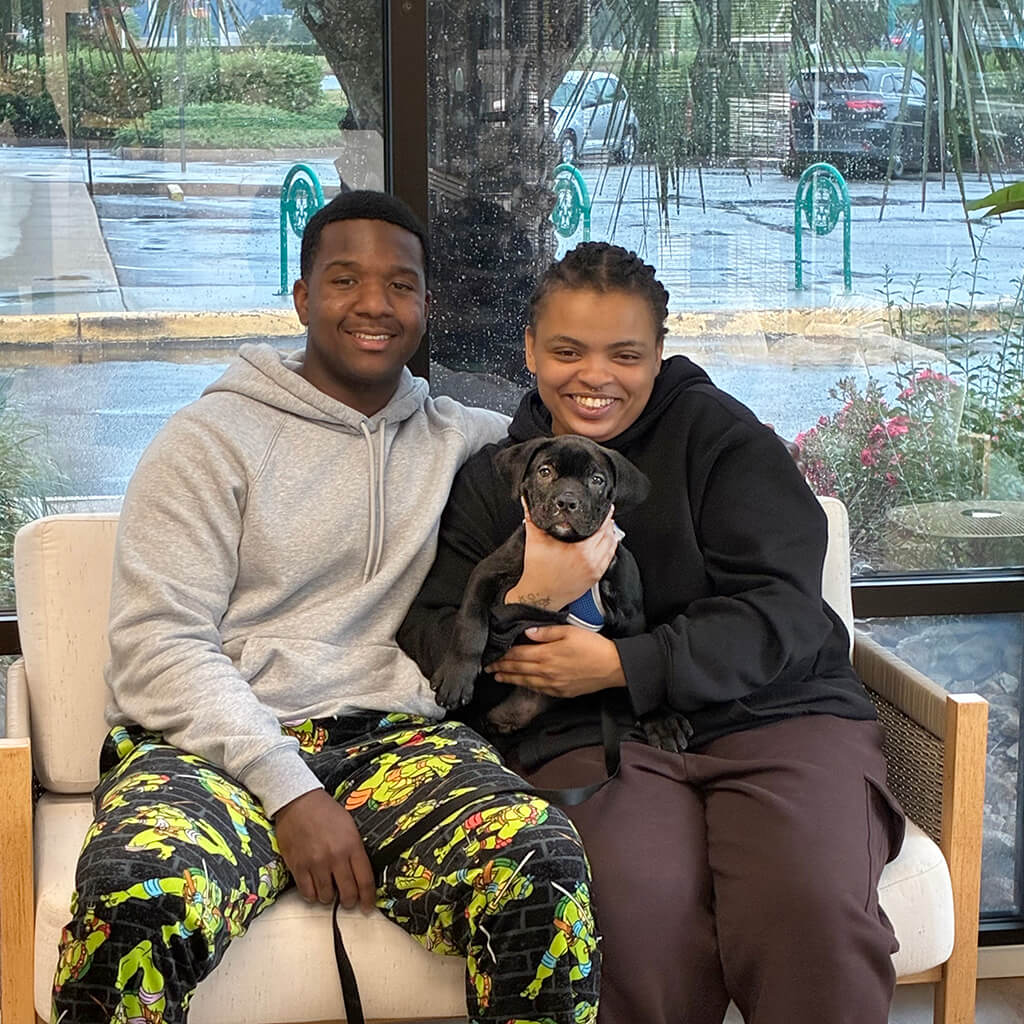 May 2026 adoption of Stitch