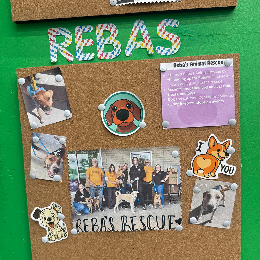 Rebas bulletin board