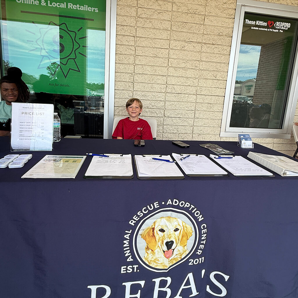 Happy boy sitting behind the Reba's table