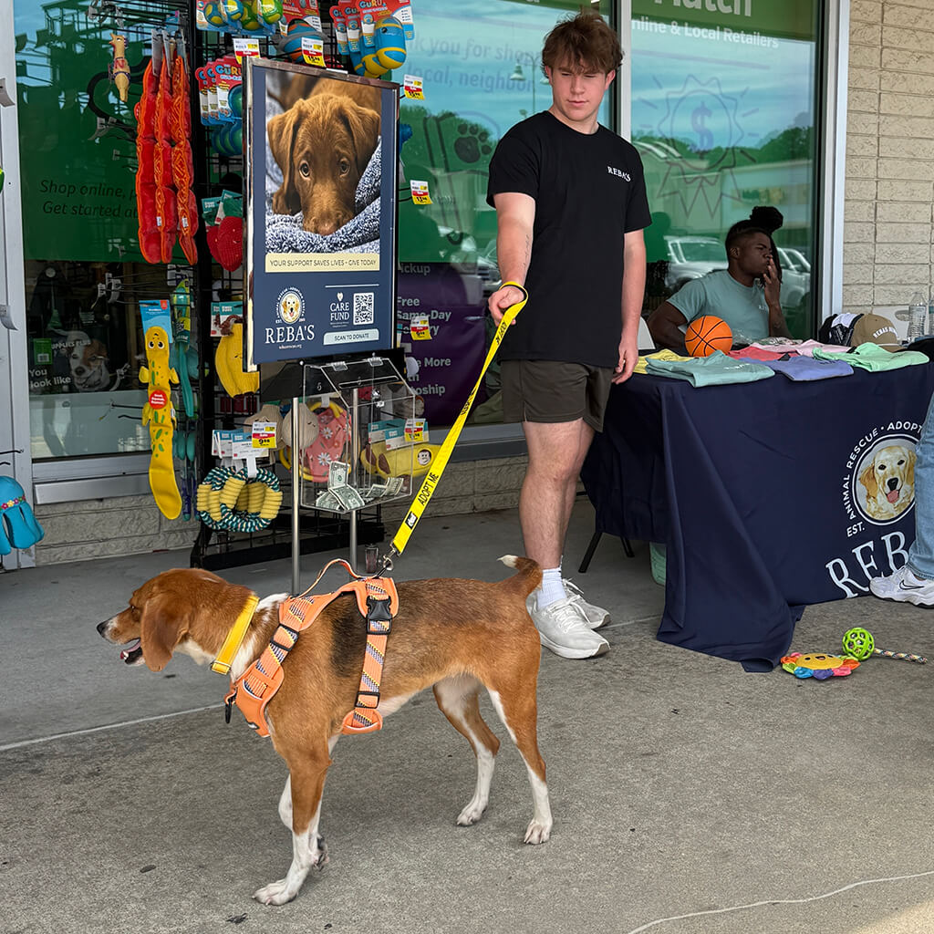 Rebas table outside Pet Supplies Plus