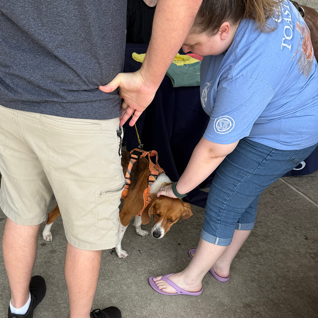 Dog getting attention from a couple visitors at the table