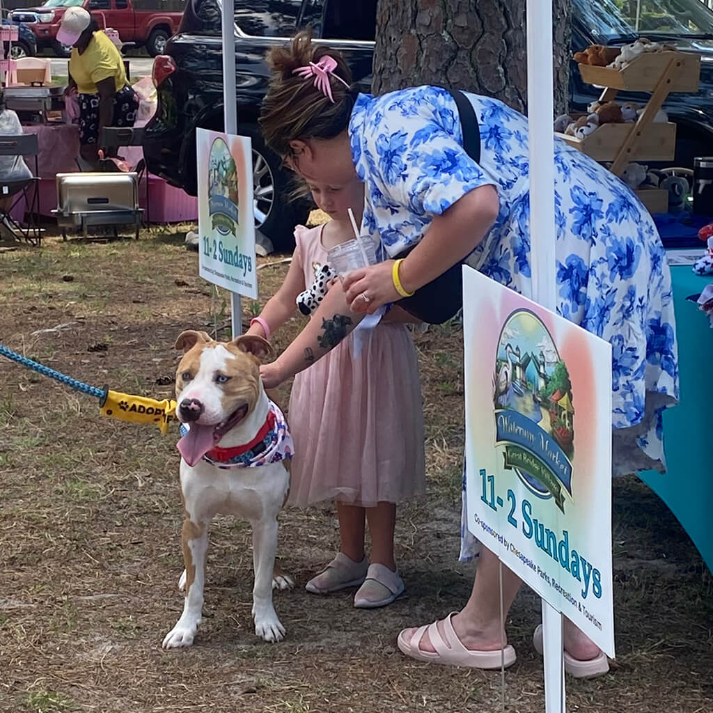 Visitors pet the adoptable dog.