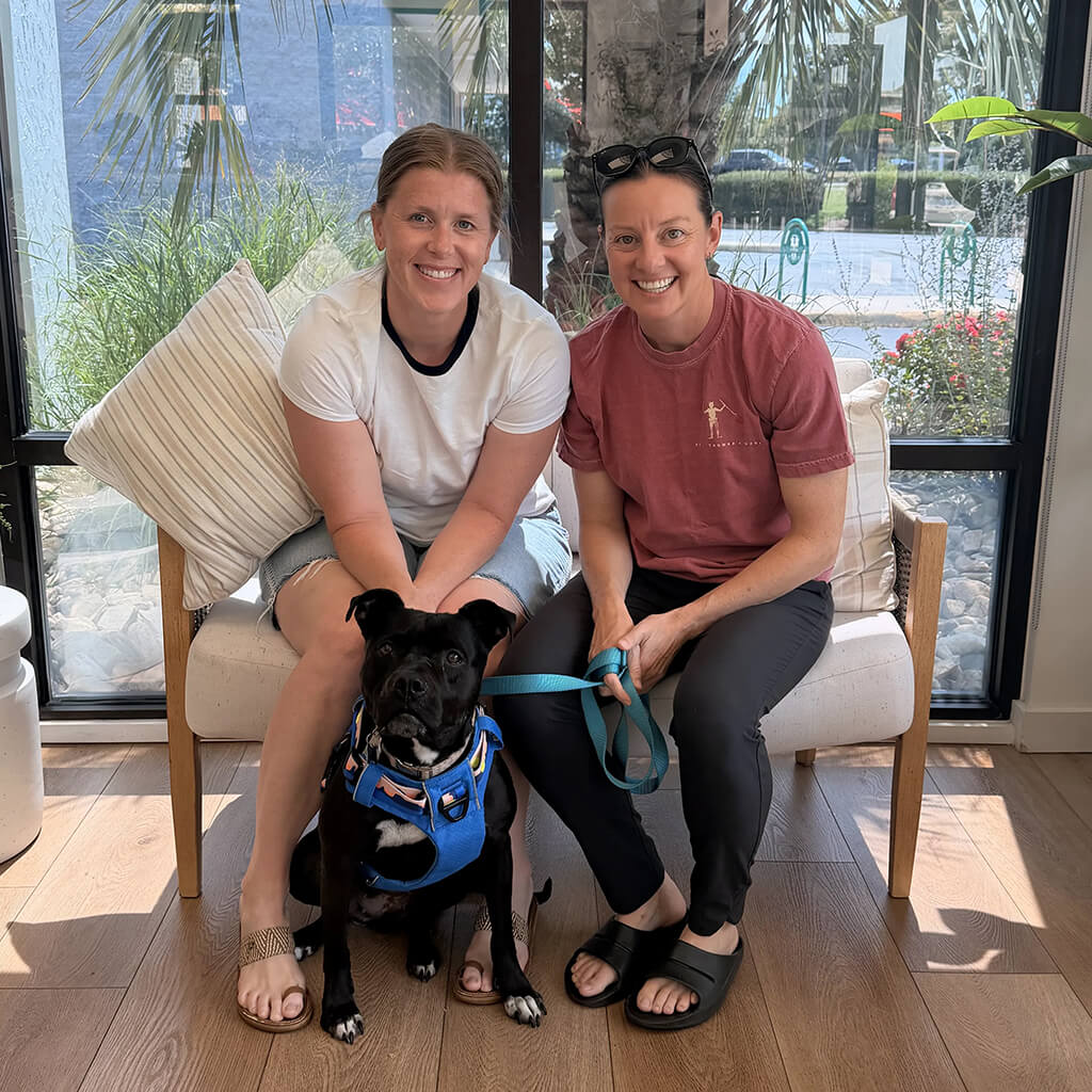 June 2026 adoption of Josie