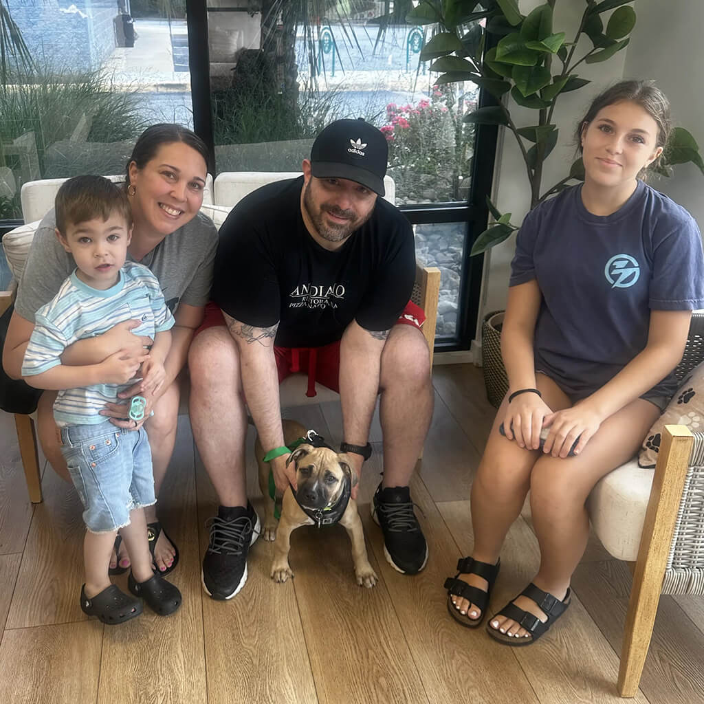 August 2026 Adoption of George