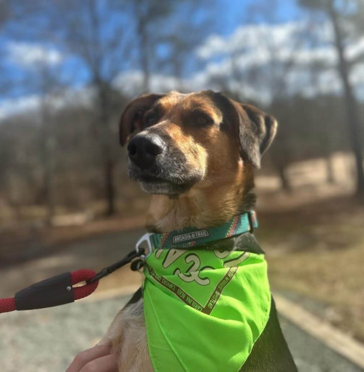 Adoption-Story-2025-image1-1024x1024